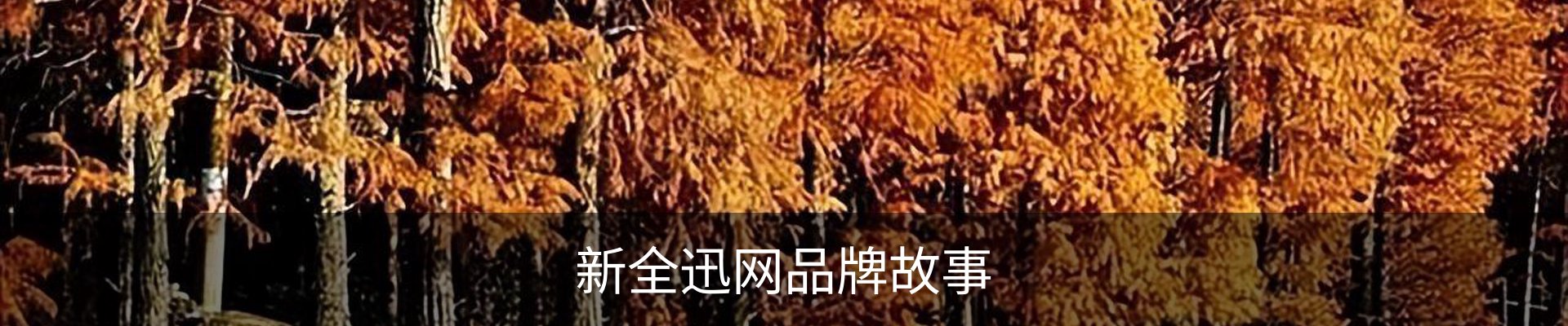 内页banner
